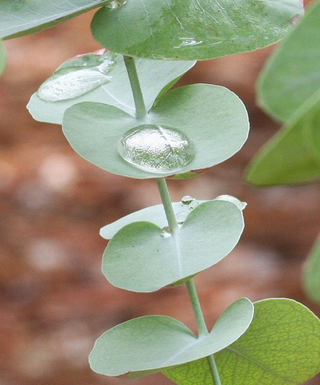 created at: 2009-04-20