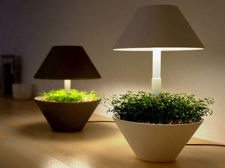 Two small contrasting table grow lamps.