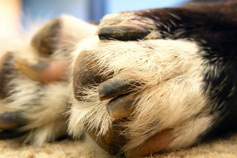 created at: 2009-04-20