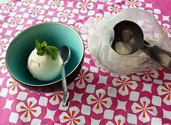 Scoop of ice cream with mint leave in bowl with spoon next to ice cream scoop in bag.