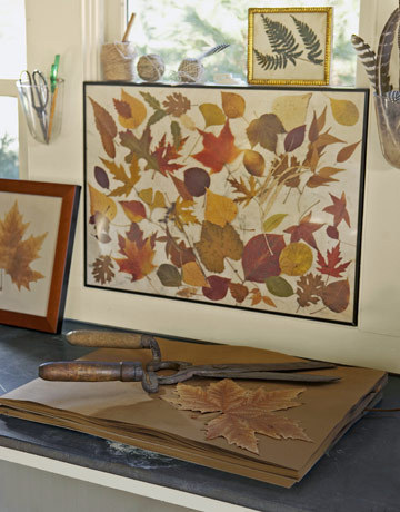 Leaves decorate a picture with a black frame.