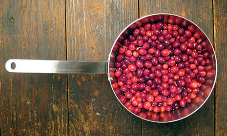 cranberries-500