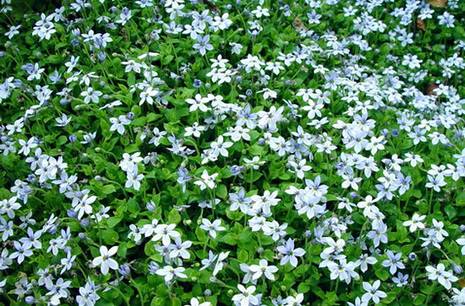 created at: 2010/02/18