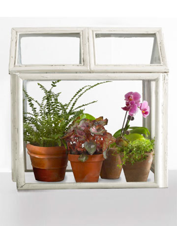 "Terrarium made out of picture frames"