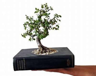 A small tree is growing out of a black book.
