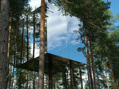 A perfectly reflective large cube hanging in the middle of the woods.