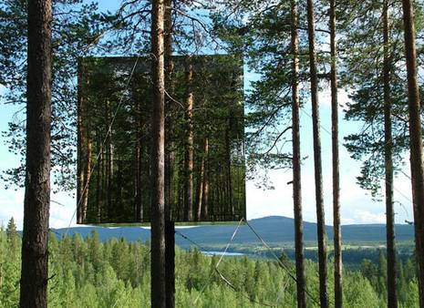 Beautiful invisible tree house to visit.