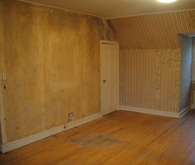 A room with wooden looking walls has a wood floor with a scuff on it.