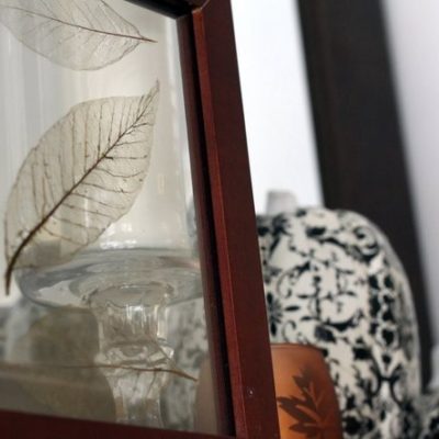 Two transparent feathers in a picture frame.