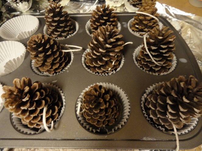 Pine cones inside of a cupcake baking tray.