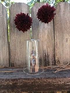 A glass vase with maroon flowers in it near a wooden gate.