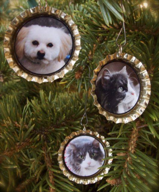 Three gold circular ornaments have pictures of pets two cats and one dog.