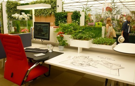 A greenhouse workstation with plants scattered all over the computer desk.