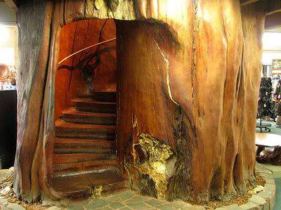 A tree stump that has been turned into a spiraling staircase.