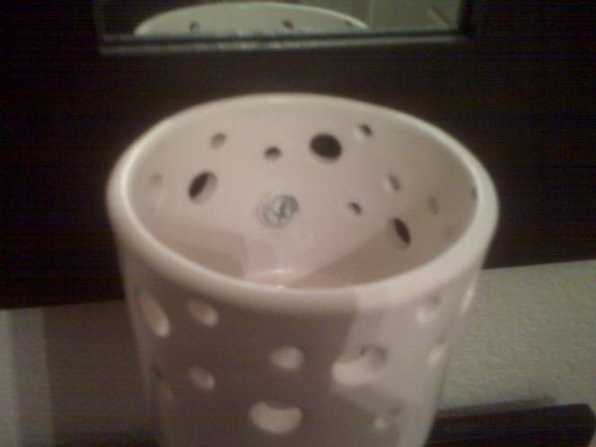 Inside View (see screw thru hole)