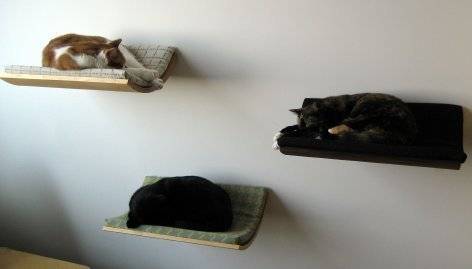 Curved Wall Mounted Pet Bed