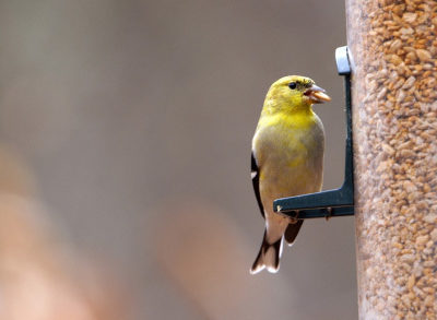 created at: 03/29/2011