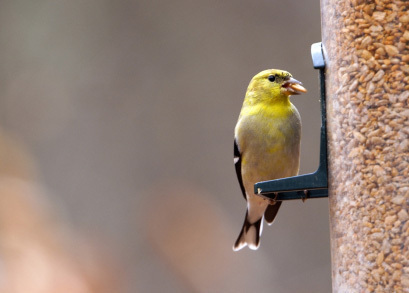 created at: 03/29/2011