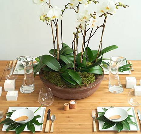 Dining table ideas using lively colors and plants.