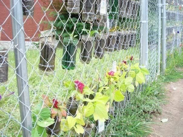 Bird feeders hang on a fence with flowers growing at the base to make it pretty.