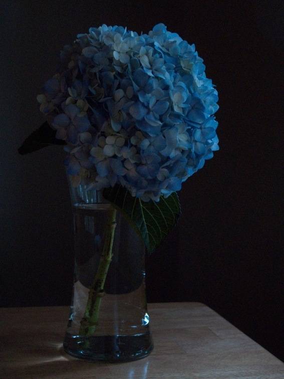 created at: 07/27/2011