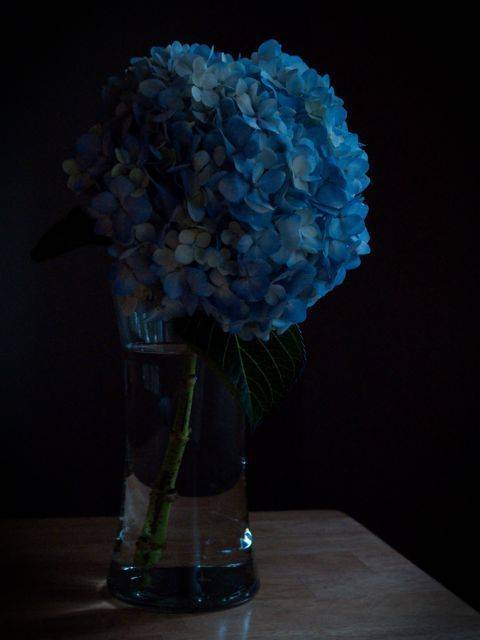 created at: 07/27/2011