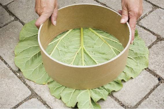 created at: 10/13/2011