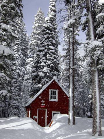 The cabin in the snow