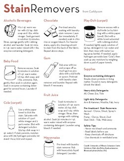 Stain removers cheat sheets