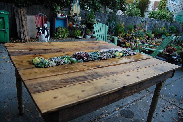 DIY pallet succulent table