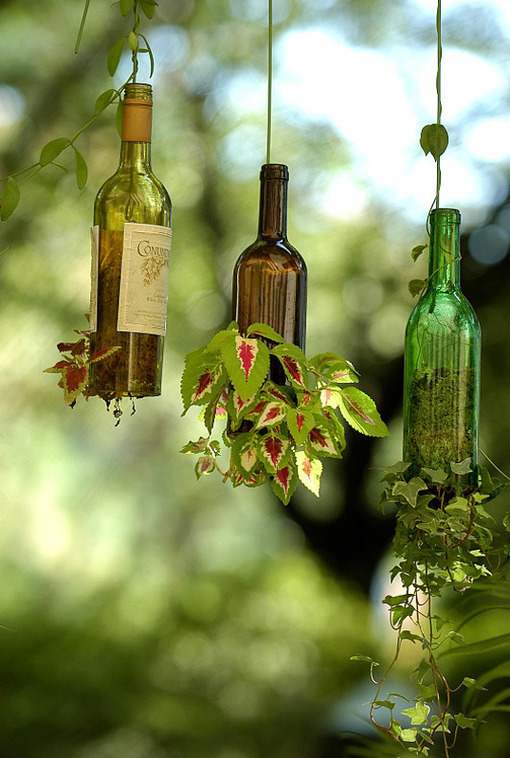 Bottles are hanging by string from a tree.