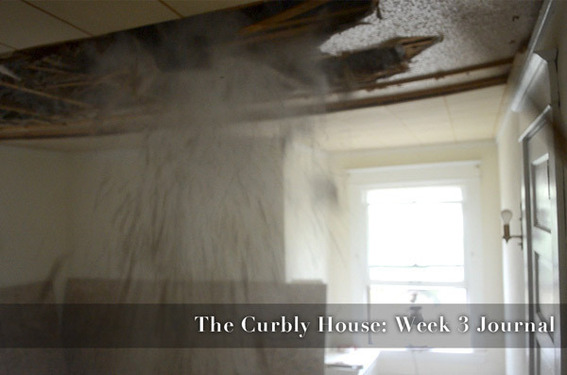 The Curbly House: Week Three Journal (VIDEO)
