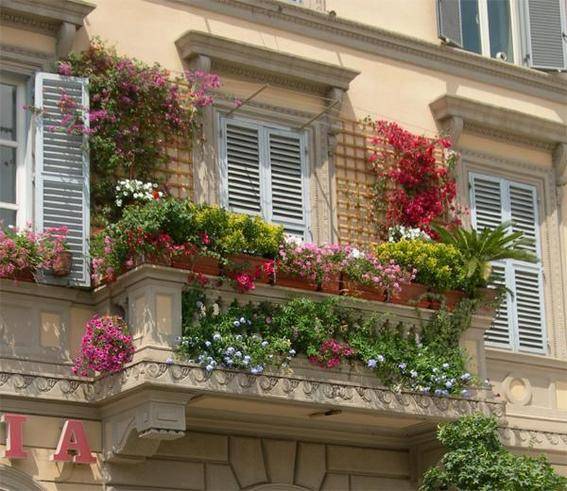 Italian-balcony-small-with-different-pink-red-blue-and-green-flowers