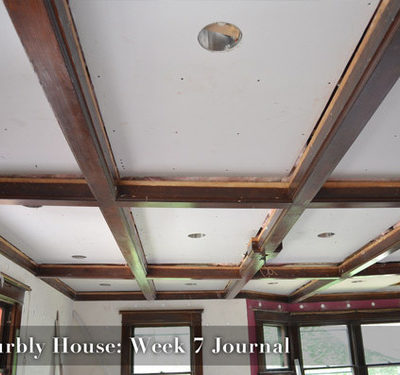 Curbly House Week 7 Video Journal - plumbing and sheetrock!