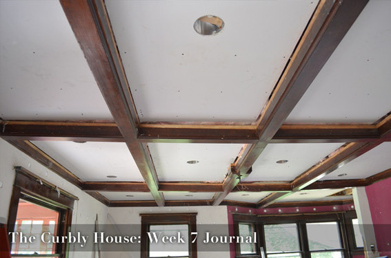 Curbly House Week 7 Video Journal - plumbing and sheetrock!