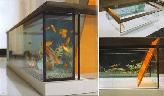 fish aquarium bathtub
