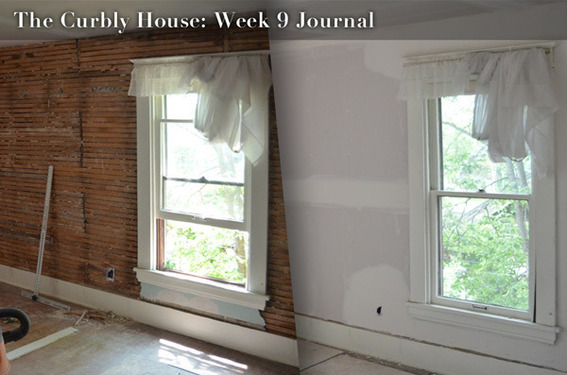 Curbly House: Week 9 Journal