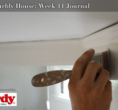 The Curbly House: Week 11 Journal