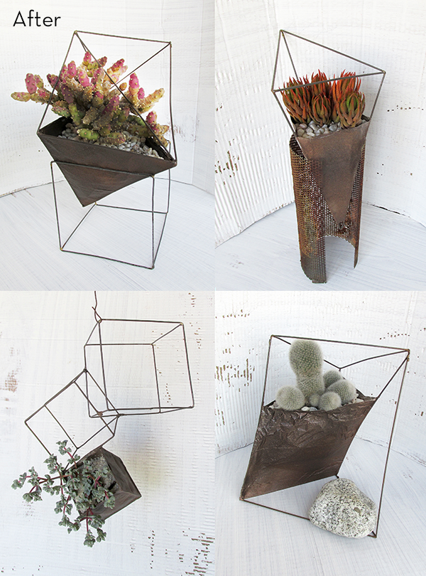 Succulent in a triangular metal planter hanging from a wire frame.