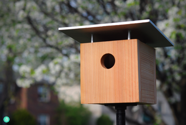Small square birdhouse on a black metal pole in front of a tree with white flowers on it.