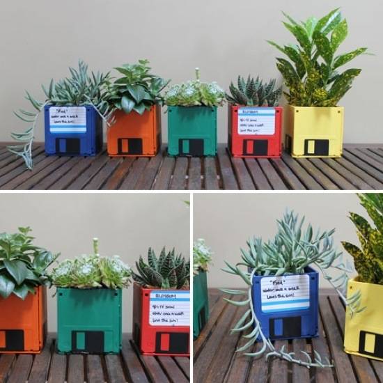 Different varieties of plants are potted in planters made of old computer disks.