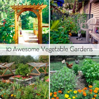 Four visions of different types of gardens.