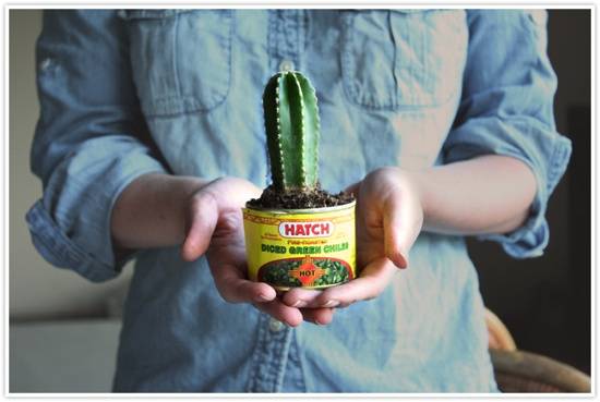 Woman holding a small cactus in a green chili can.