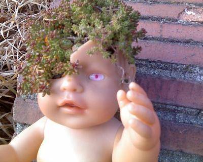 Plants are growing out of the head of a baby doll.