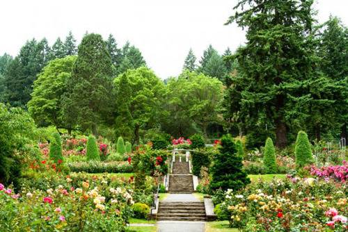 Flower garden with trees and stone stair case.