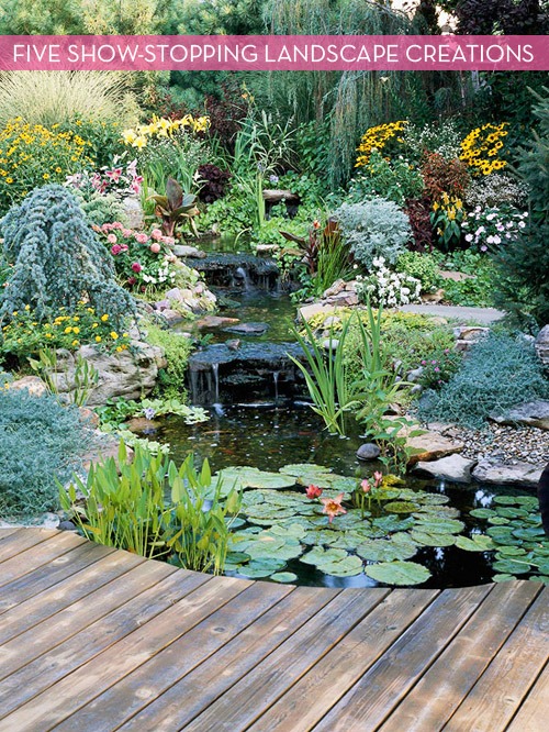 Water and plants are seen on the side of a wooden pathway.