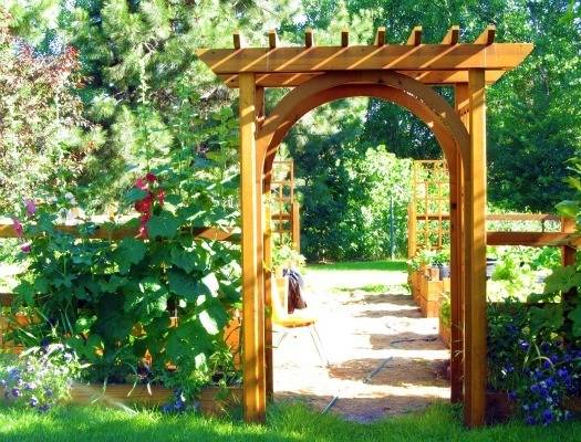 Wooden arch in a vegetable garden.