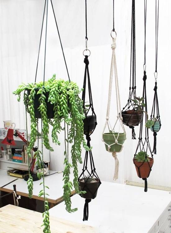 A bunch of hanging gardens in a white room with plants in them.