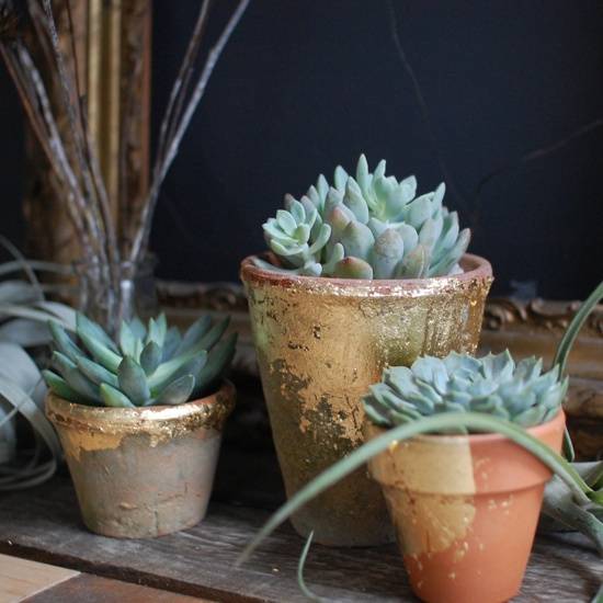 ""Planters pot with Plants for decoration"