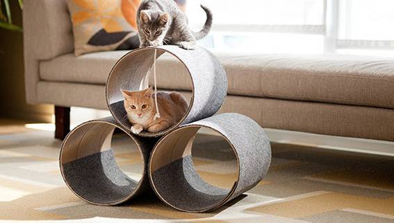 Cat trees made out of rolled up carpet and cardboard.